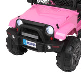 LEADZM LZ-905 Remodeled Dual Drive 45W * 2 Battery 12V7AH * 1 With 2.4G Remote Control Pink