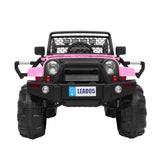 LEADZM LZ-905 Remodeled Dual Drive 45W * 2 Battery 12V7AH * 1 With 2.4G Remote Control Pink