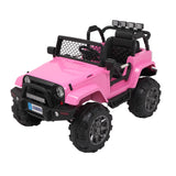 LEADZM LZ-905 Remodeled Dual Drive 45W * 2 Battery 12V7AH * 1 With 2.4G Remote Control Pink