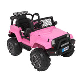 LEADZM LZ-905 Remodeled Dual Drive 45W * 2 Battery 12V7AH * 1 With 2.4G Remote Control Pink
