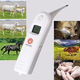 Digital Veterinary Electronic Thermometer Health Medicine Supplies for Cattle Sheep  white