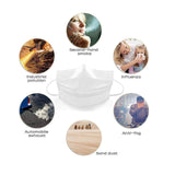 Disposable Mask 3 Layers Baby Student Non-woven Protective Mask 50pcs