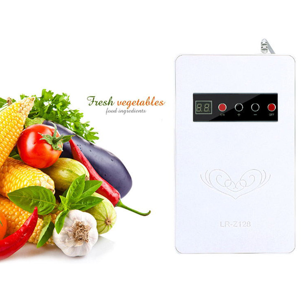 Home Multifunction Ozone Generator for Refrigerator Vegetable Meat Air Purify White American regulation 110V