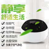 Multi-function Negative Ion Purifier Vegetable Washing Machine Ozone Generator European regulation 220V